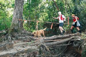 BIB: 
                            <button type="button" onclick="openModal(27742873)" class="btn btn-primary btn-sm float-right btn-popup" data-toggle="modal" data-target=".modal-high-quality">
                        <i class="fas fa-shopping-cart"></i> Add to Cart
                    </button>
                                            <button type="button" onclick="isThisMe(27742873, true)" class="btn btn-success btn-sm float-right btn-popup btn-isme hidden" data-toggle="tooltip" data-placement="bottom" title="นี่คือรูปของคุณใช่ไหม คลิกที่นี่เพื่อเอาเข้าอัลบั้ม">
                        <i class="fas fa-plus"></i> Add to album
                    </button>
                    <button type="button" onclick="isThisMe(27742873, false)" class="btn btn-warning btn-sm float-right btn-popup btn-isnotme hidden">
                        <i class="fas fa-ban"></i> Remove from album
                    </button>